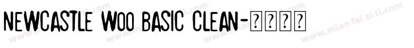 Newcastle W00 Basic Clean字体转换